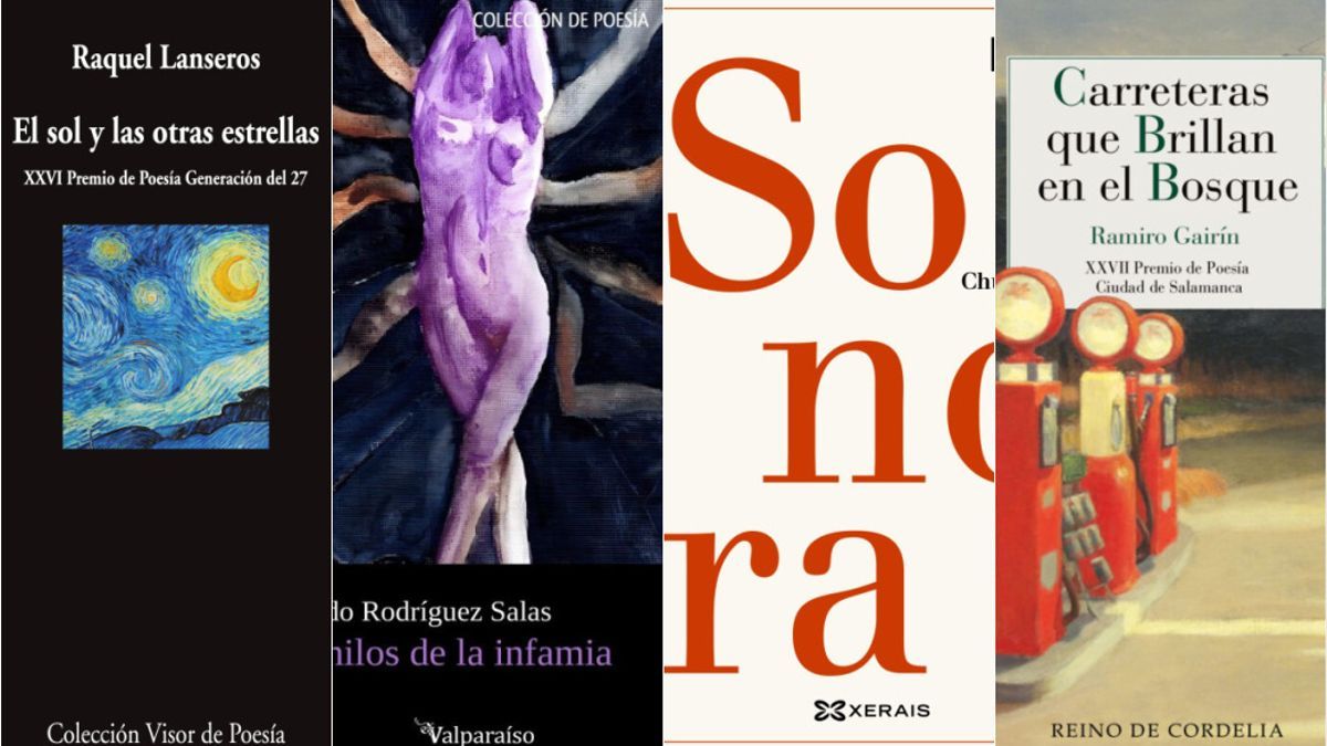 Portadas de Raquel Lanseros, Gerardo Rodríguez Salas, Chus Pato y Ramiro Gairín.